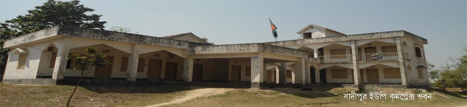১১ নং চরসাদীপুর ইউনিয়ন পরিষদ