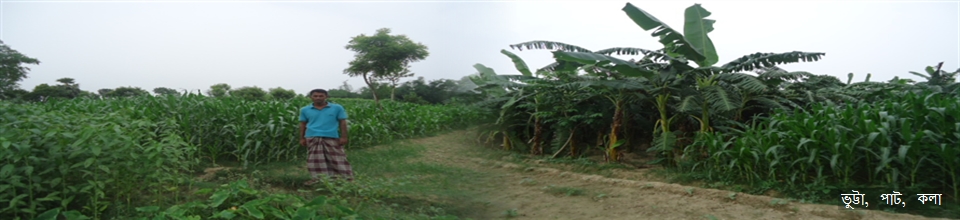 ১১নং মালিহাদ ইউনিয়ন পরিষদ