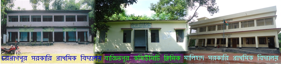 ১১নং মালিহাদ ইউনিয়ন