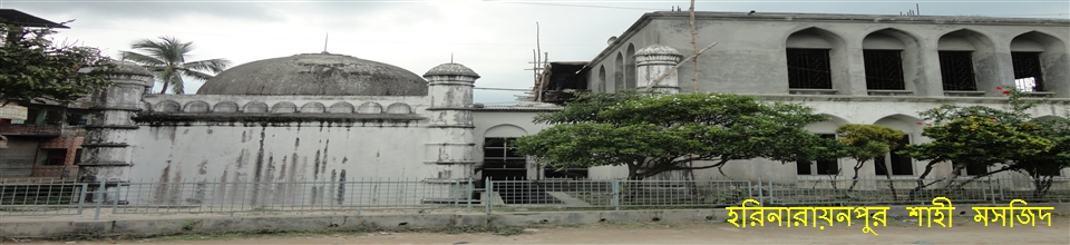হরিনারায়নপুর শাহী মসজিদ