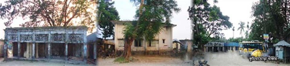 ১ নং বাহাদুরপুর ইউনিয়ন