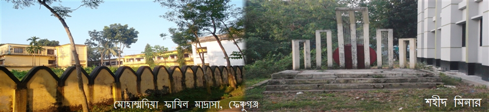 মোহাম্মদিয় মাদ্রাসা