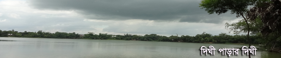 পাড়ইল ইউনিয়ন