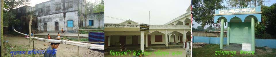 জিয়ারখী ইউনিয়নের পূরাতন বাড়ী, পরিষদ ভবন ও গোপালপুর ঈদগাহ ময়দান