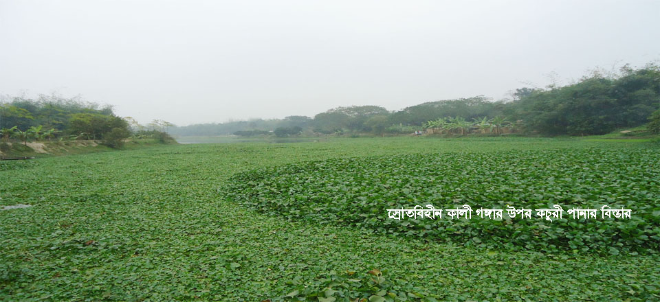 স্রোতহীন প্রাচীন নদী কালী গঙ্গা