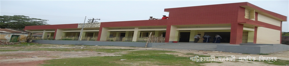 পাটিকাবাড়ী সরকারী প্রাথমিক বিদ্যালয়