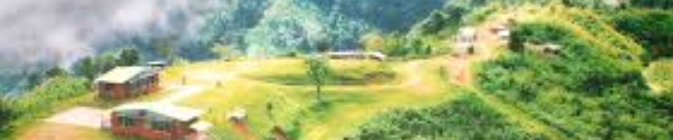 ব্যানার