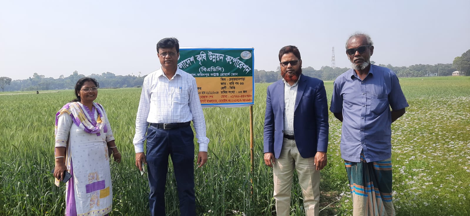 চলমান কার্যক্রম