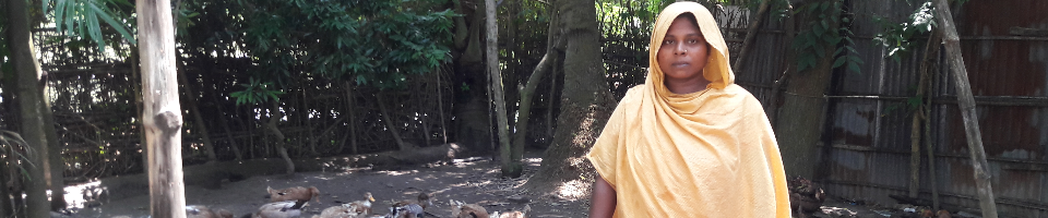 ব্যানার