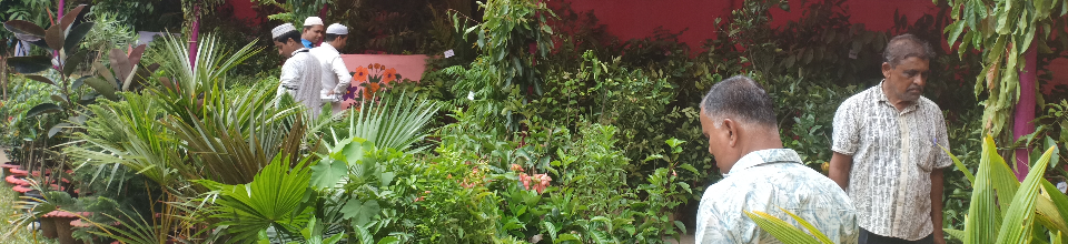 বৃক্ষ মেলা