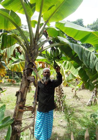 কৃষি ও প্রাণিসম্পদ