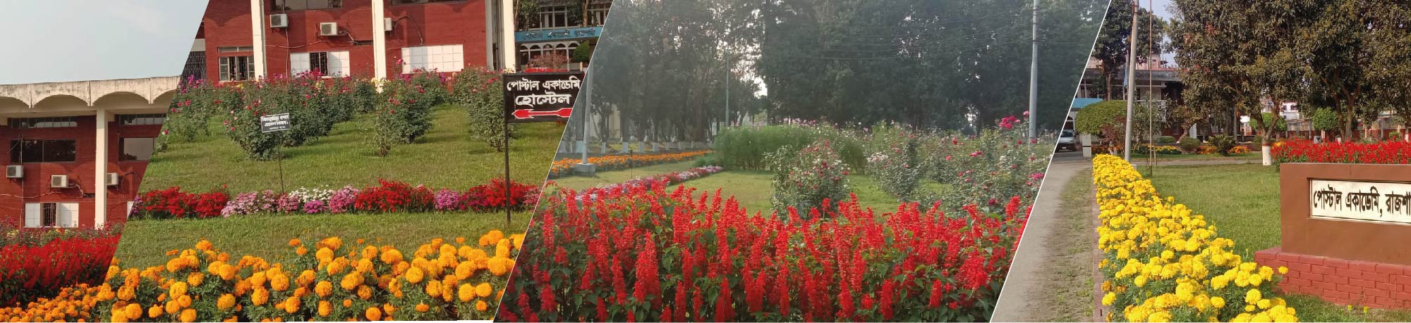 একাডেমীর বাগান