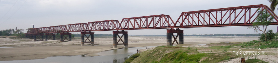 সৈয়দ মাছ-উদ-রুমী সেতু ও গড়াই রেলওয়ে ব্রীজ