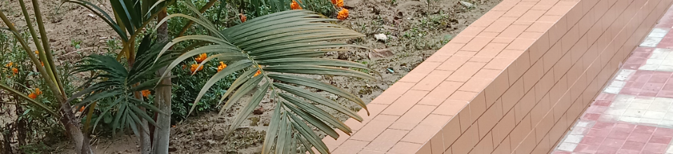 ভূমি অফিসের ফলজ বাগান