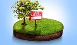 ব্যানার