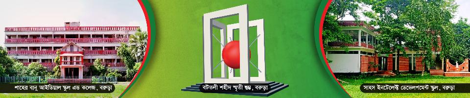 প্রাতিষ্ঠানিক বরুড়া