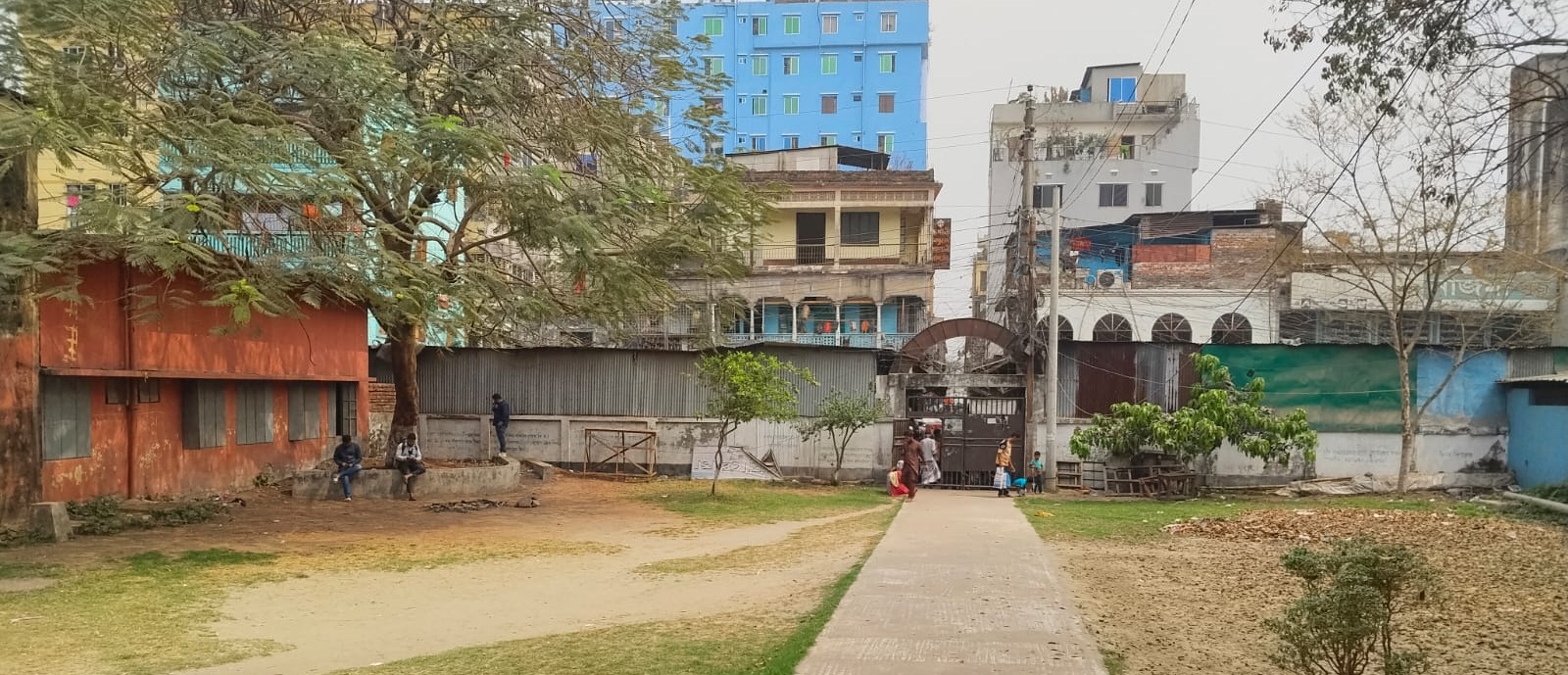 কৃষ্ণচূড়া, উপজেলা ভূমি অফিস প্রাঙ্গন