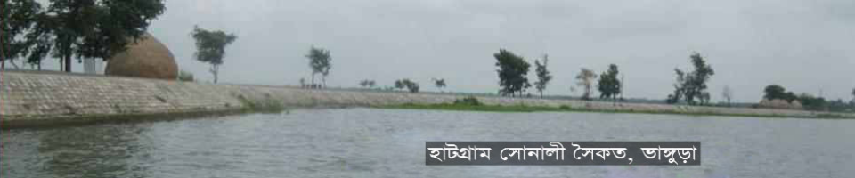 ব্যানার