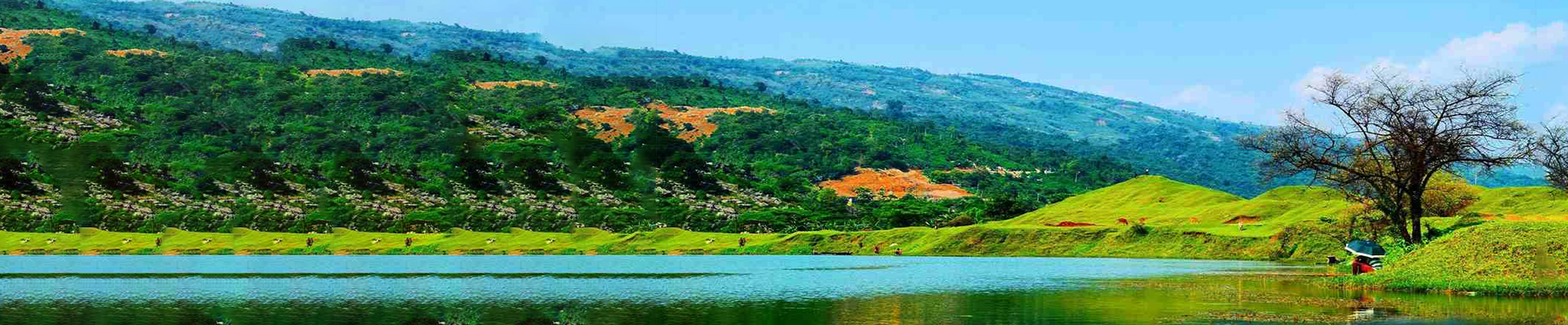 নিলাদ্রী লেক