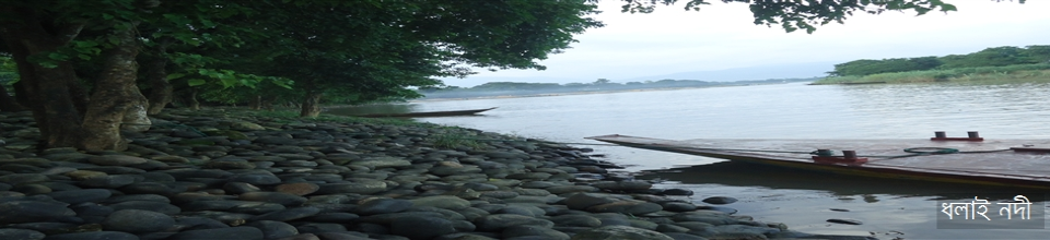 ধলাহনদী