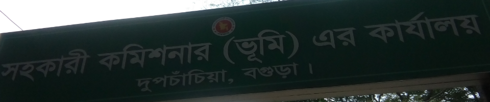 ব্যানার