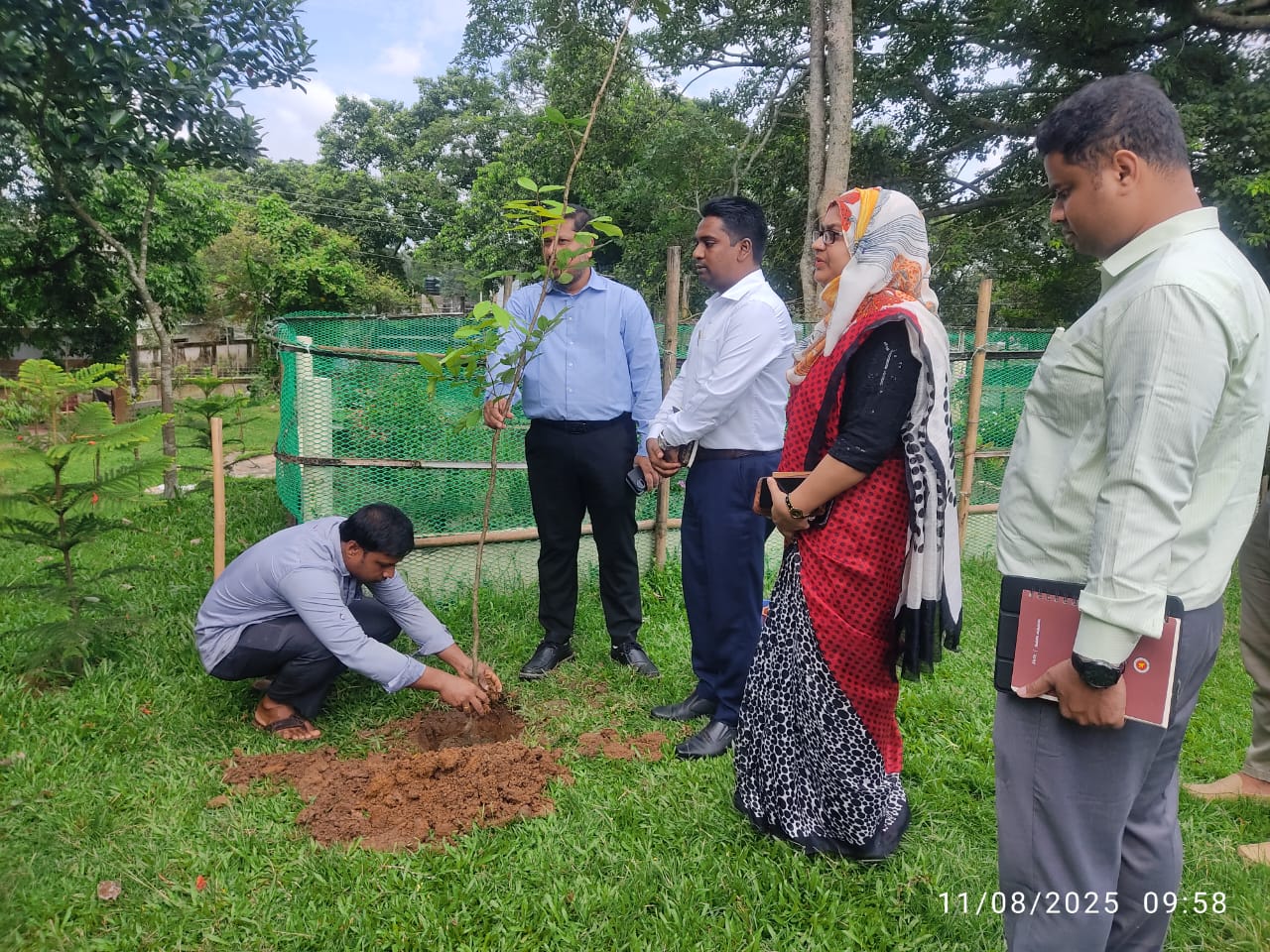 জেলা প্রশাসক মহোদয়ের পরিদর্শনকালে বৃক্ষরোপন