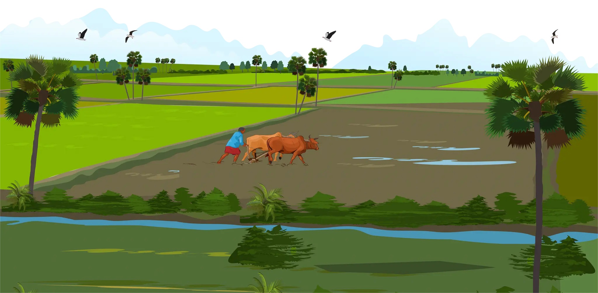 ভূমি সেবা