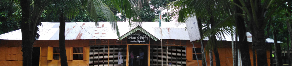 উপজেলা ভূমি অফিস, গলাচিপা