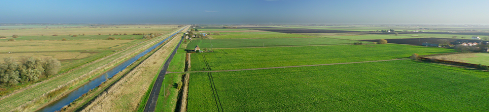 সবুজ ভূমি