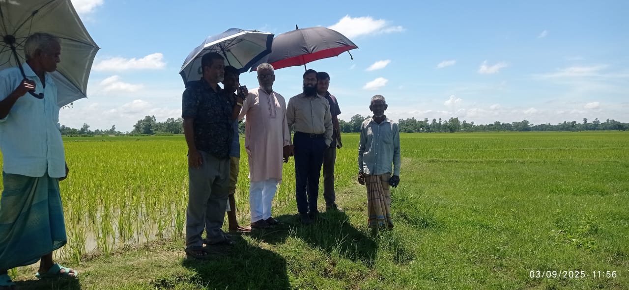 বিভিন্ন প্রোগ্রাম