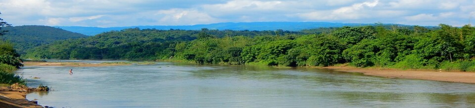 লেঙ্গুড়া