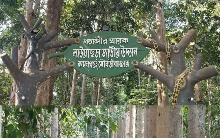 লাউয়াছড়া জাতীয় উদ্যান