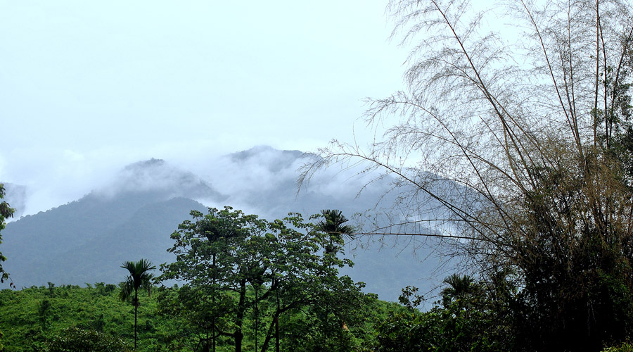 বিউটিফুল কানাইঘাট