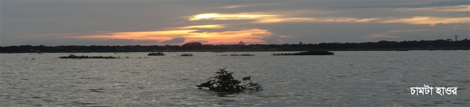 চামটা হাওড়