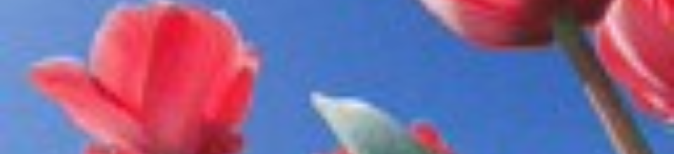 কেশবপুর