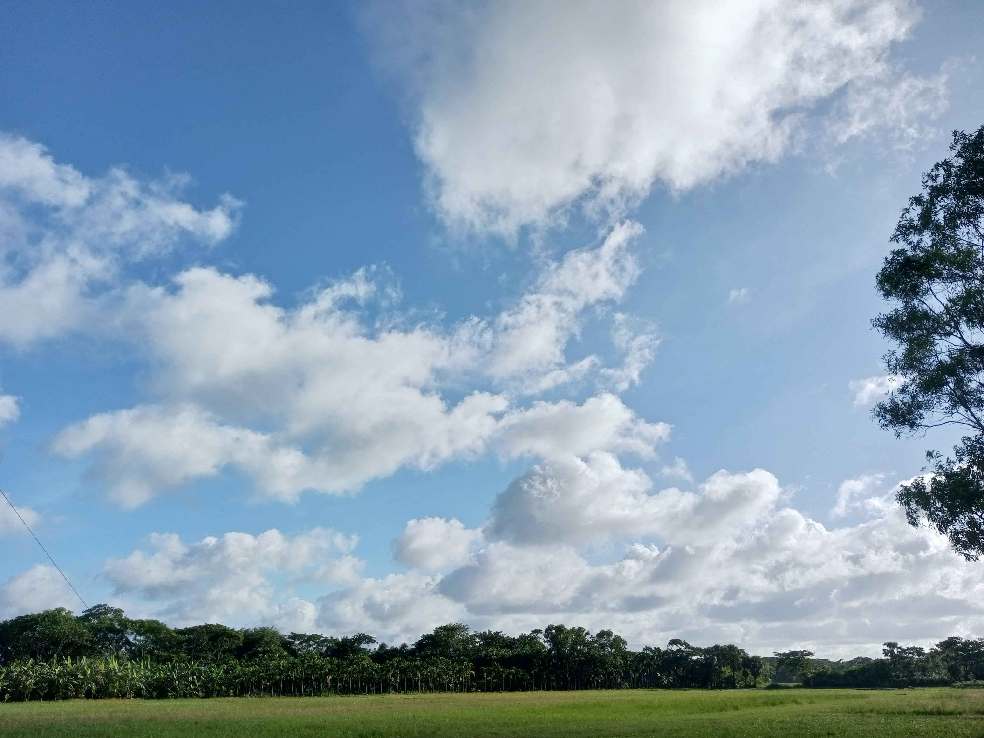 ব্যানার ৫