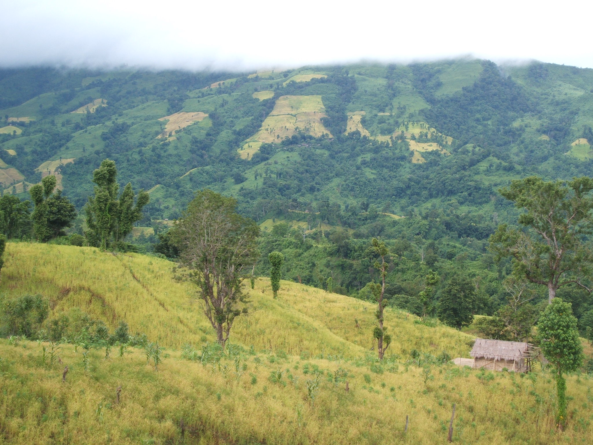 ফটোগ্যালারী 