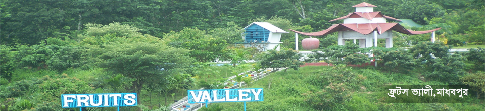 ফ্রুটস ভ্যালি