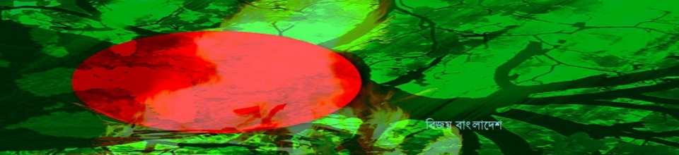 বিজয় বাংলাদেশ