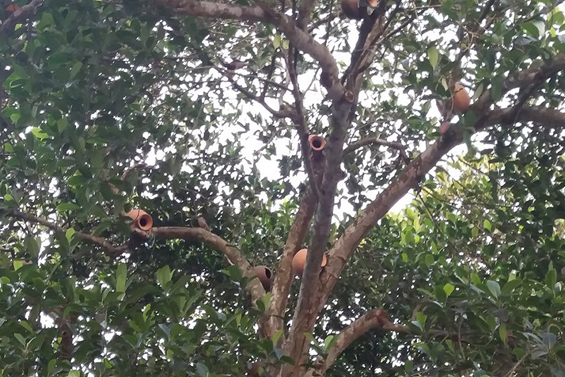 উপজেলা ভূমি অফিস, মনোহরদী, নরসিংদী