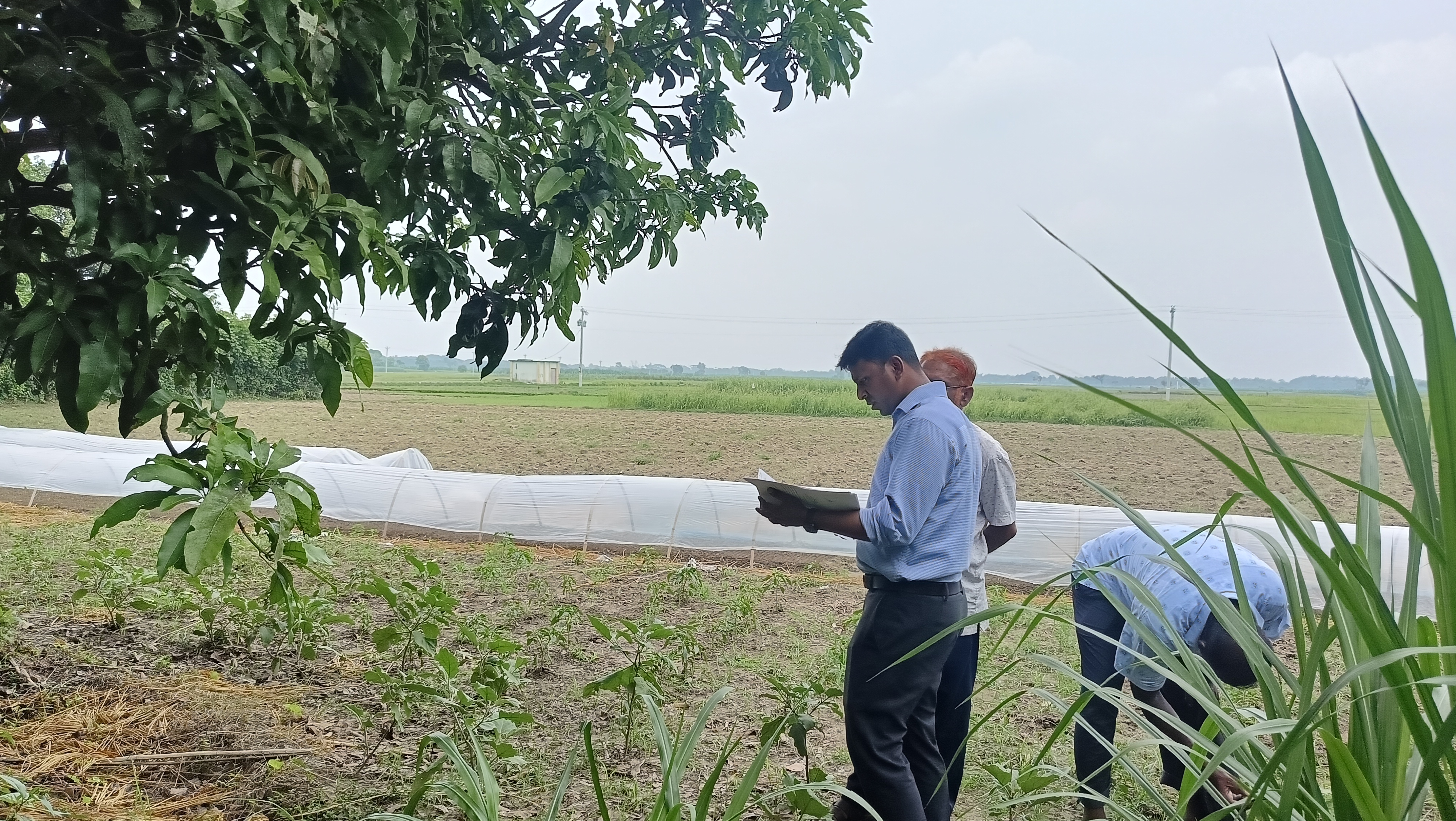 ভূমি সমস্যার সমাধানের লক্ষে সরোজমিনে পরিদর্শন