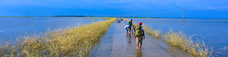 হালতি বিল