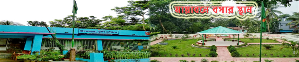 মায়াবনে বসার স্থান