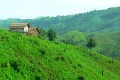 ফটোগ্যালারী