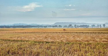 গুমাই বিল