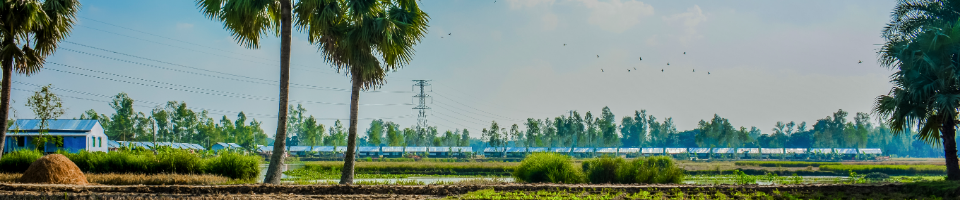 টেংরা গুচ্ছগ্রাম