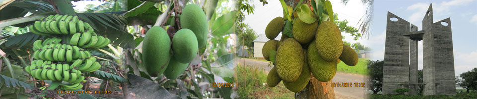 সখিপুর-১