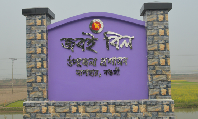 জবই বিল, সাপাহার