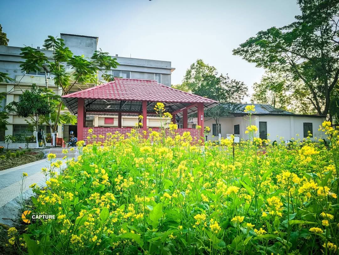 উপজেলা ভূমি অফিস, শাহরাস্তি, চাঁদপুর ।