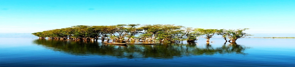 টাঙ্গুয়ার হাওর